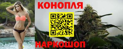 сатива Бузулук