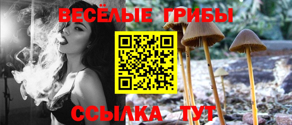 Псилоцибиновые грибы Cubensis  Псилоцибиновые грибы GOLDEN TEACHER  Вход с VPN  Набережные Челны 